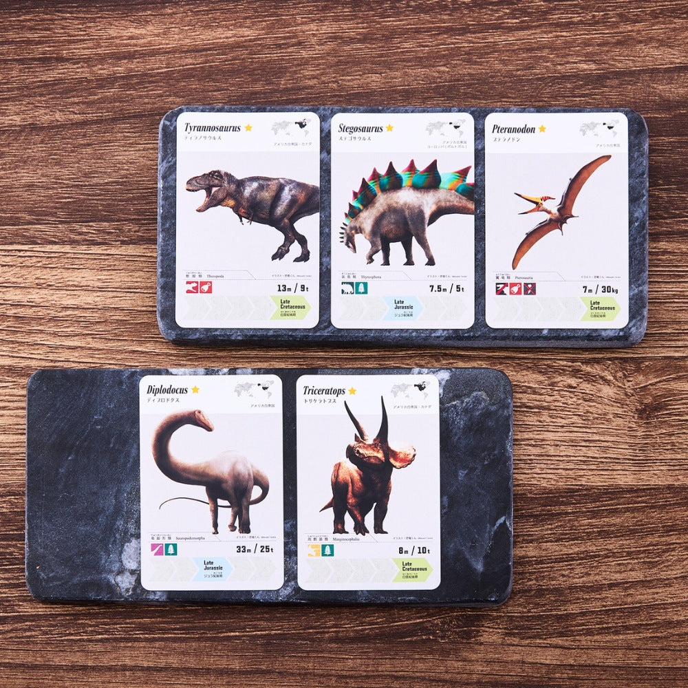 【NEW】DINO MUSEUM